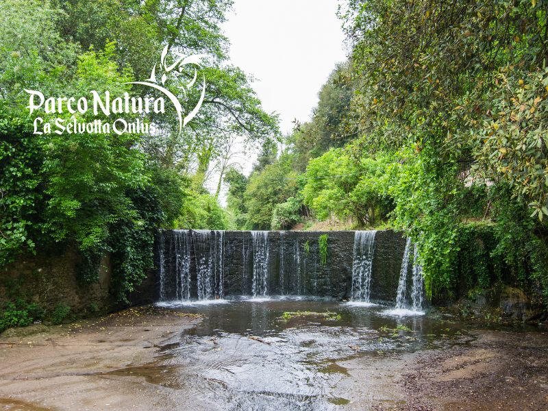 Nel cuore del Parco di Veio: alla Selvotta si scopre anche l’antico acquedotto etrusco