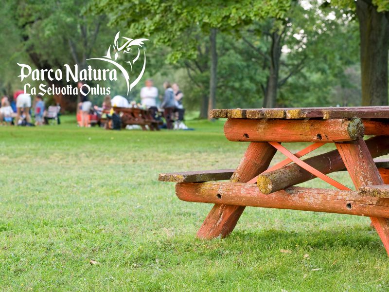 Picnic vicino Roma con bambini: dove trovare natura, relax e divertimento