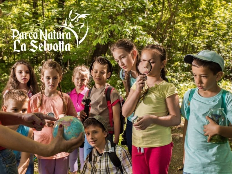Fattoria didattica: cosa si fa e perché è un’esperienza educativa per bambini e scuole