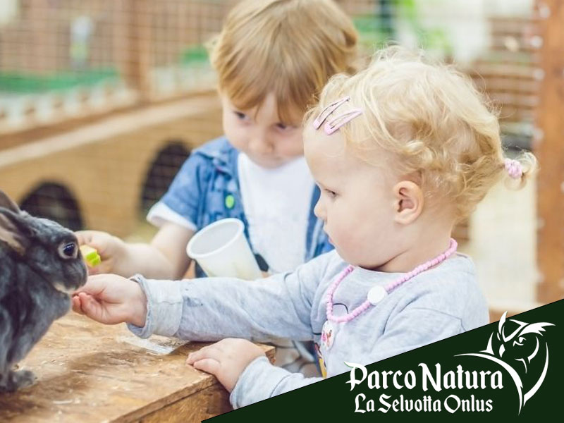 Dove portare i bambini a vedere gli animali a Roma?