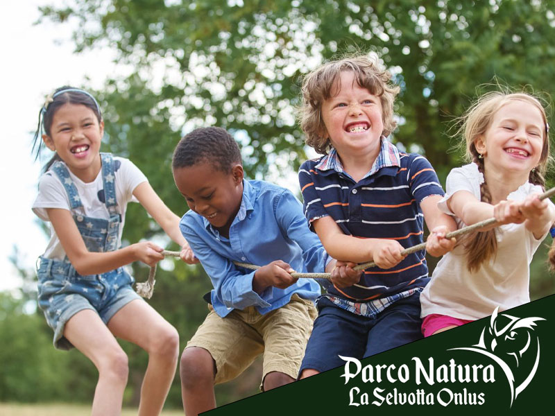 Parchi di Roma: 5 motivi per portare i tuoi bambini alla Selvotta a Formello