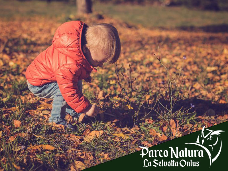 Parco Natura La Selvotta: educare e sensibilizzare