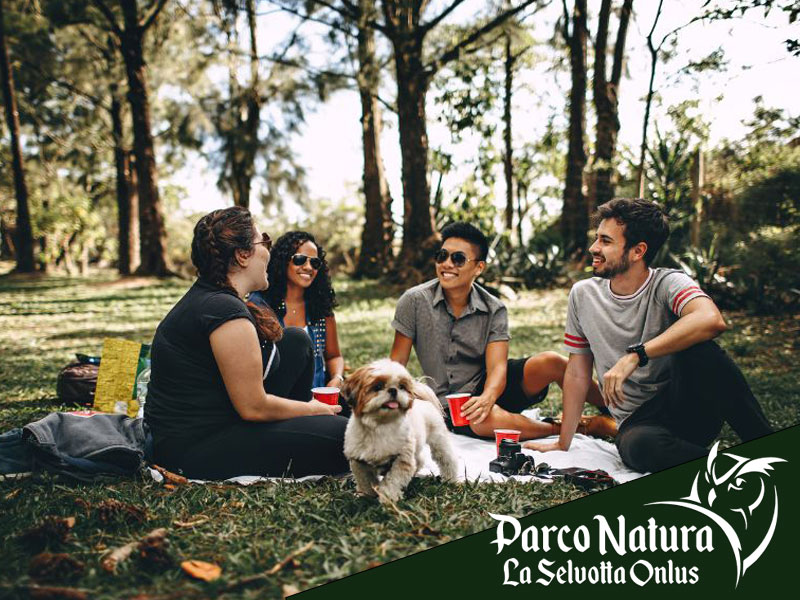 Ponte del Primo Maggio: natura, storia e relax al Parco Natura La Selvotta