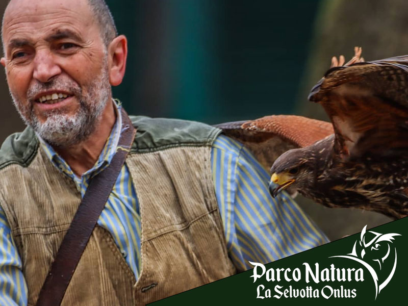 Dietro le quinte del Parco Natura la Selvotta: quando i cancelli si chiudono, il lavoro continua