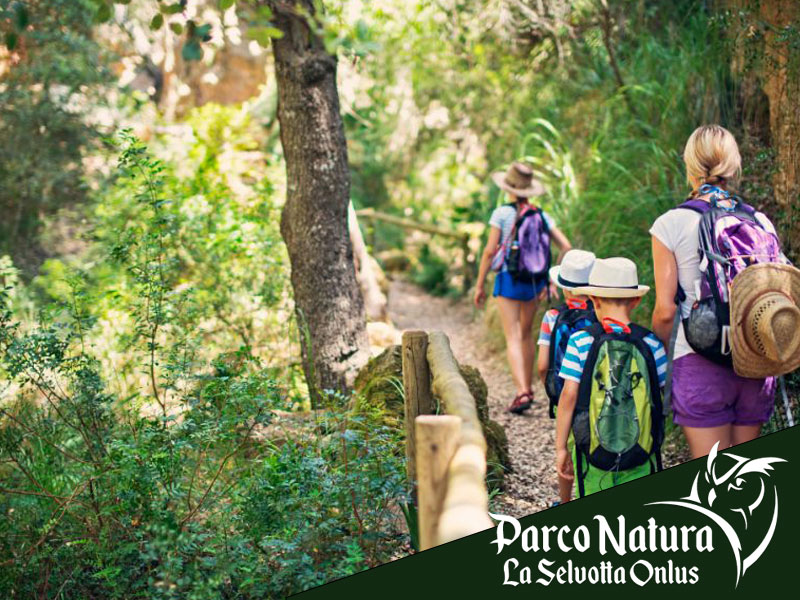 5 cose divertenti da fare a Roma ad agosto, tutte alla Selvotta a Formello