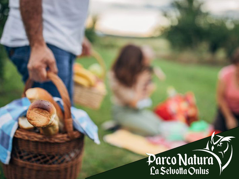 Idee per il 25 aprile e 1° maggio a Roma (ma la migliore è il Parco Natura La Selvotta!)