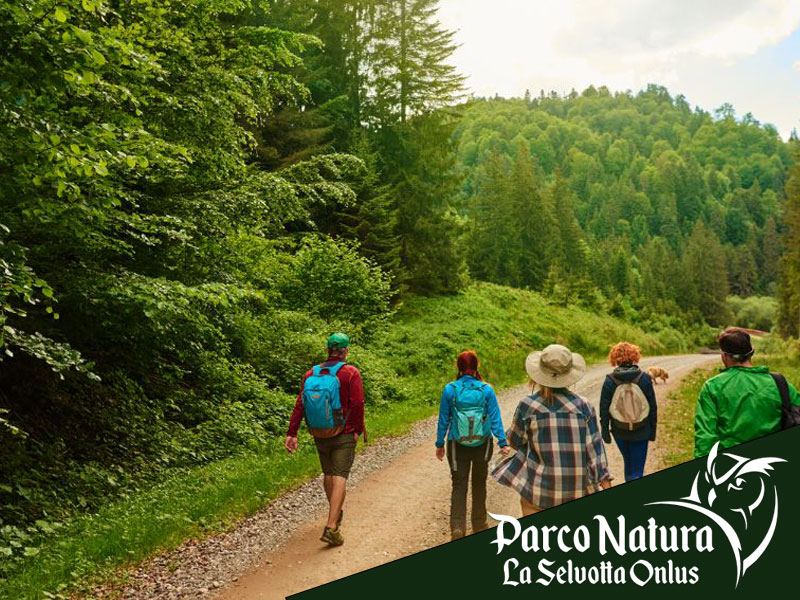 Benessere e contatto con la natura