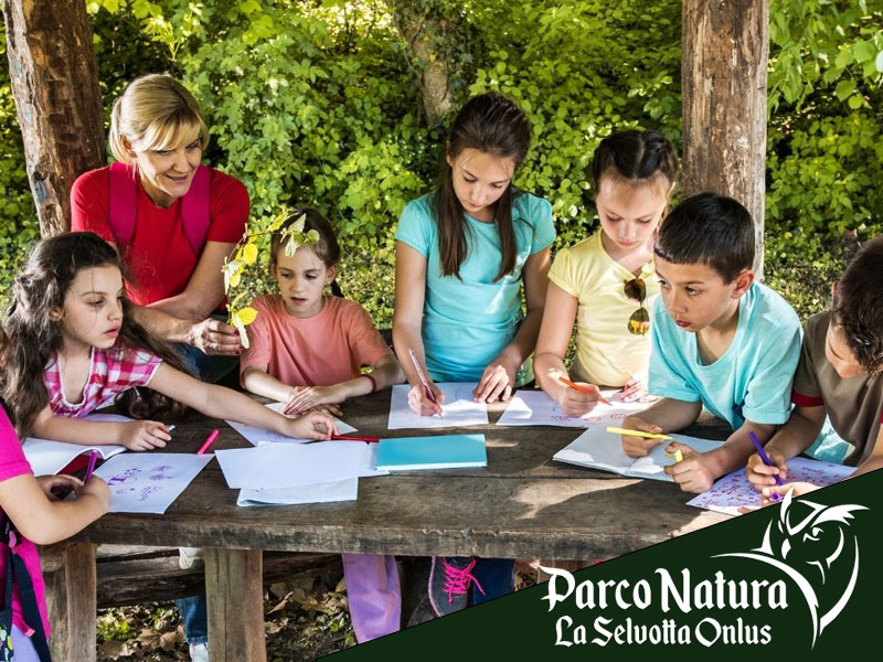 Organizzare una gita scolastica alla Selvotta è davvero divertente