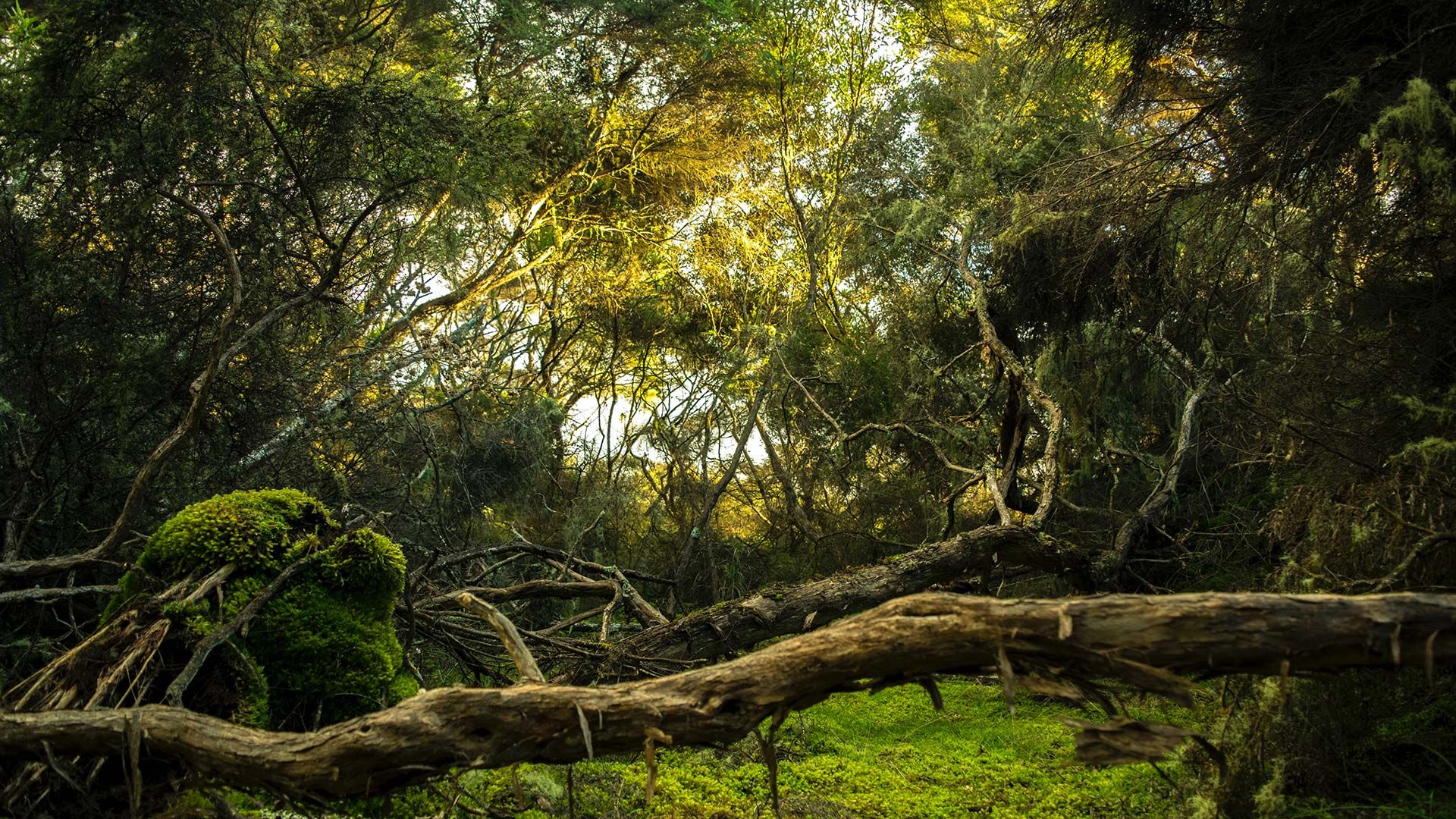 Vivere il Parco